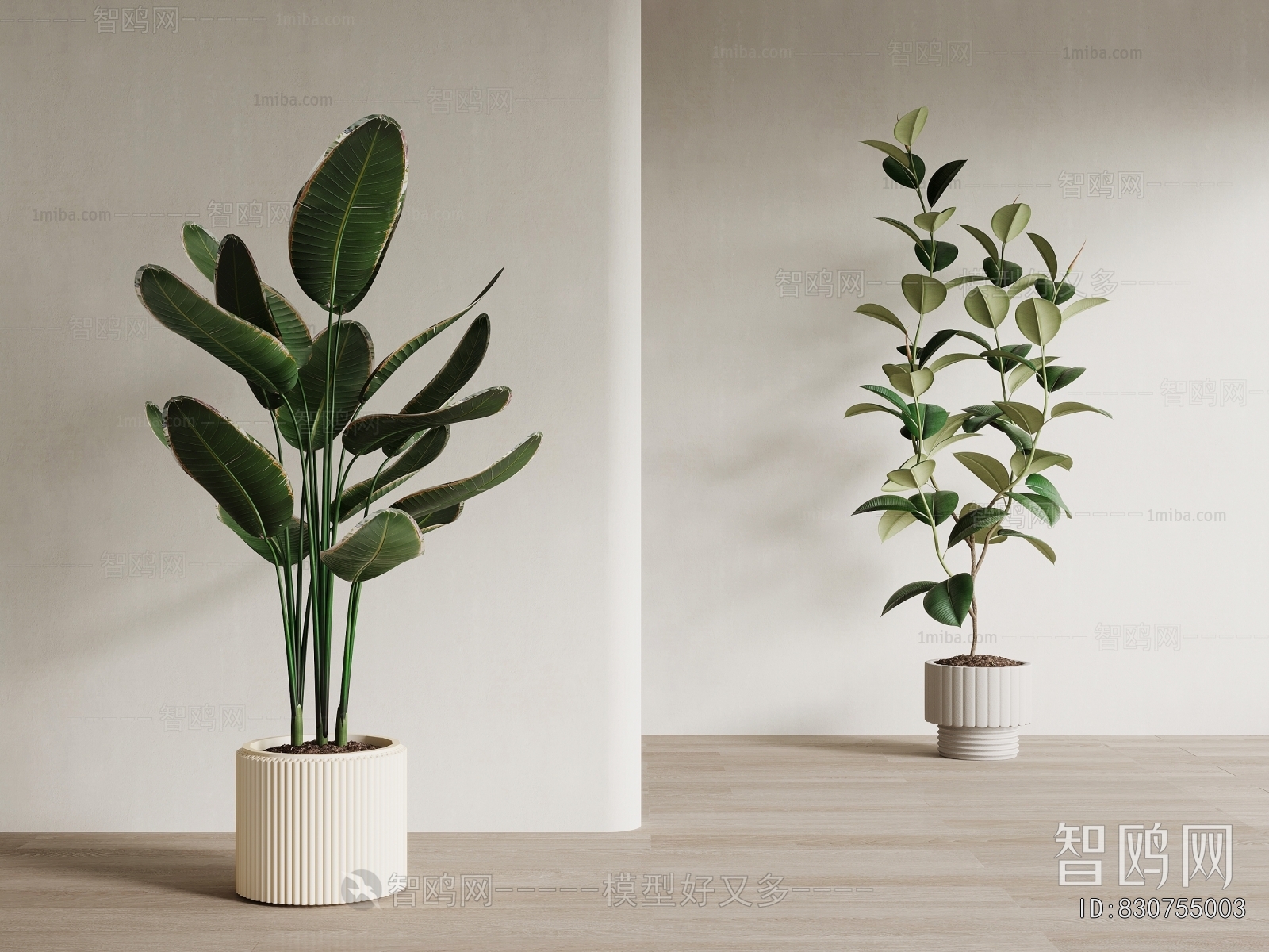 Modern Ground Green Plant Potted Plants