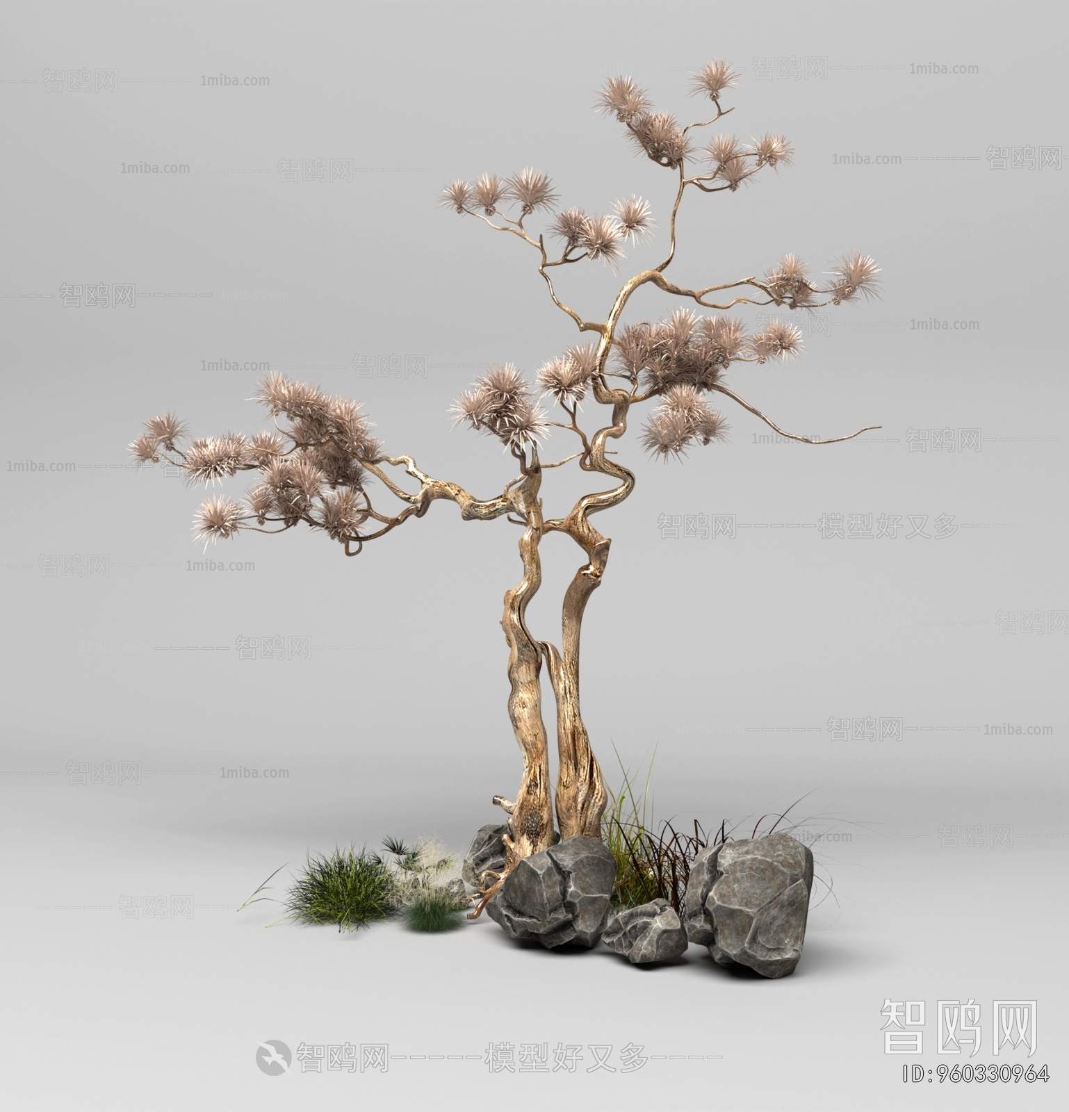 Modern Plant Landscaping