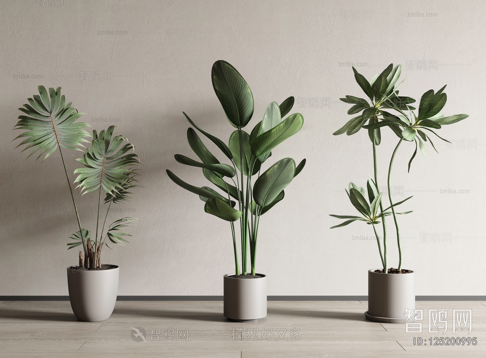 Modern Ground Green Plant Potted Plants
