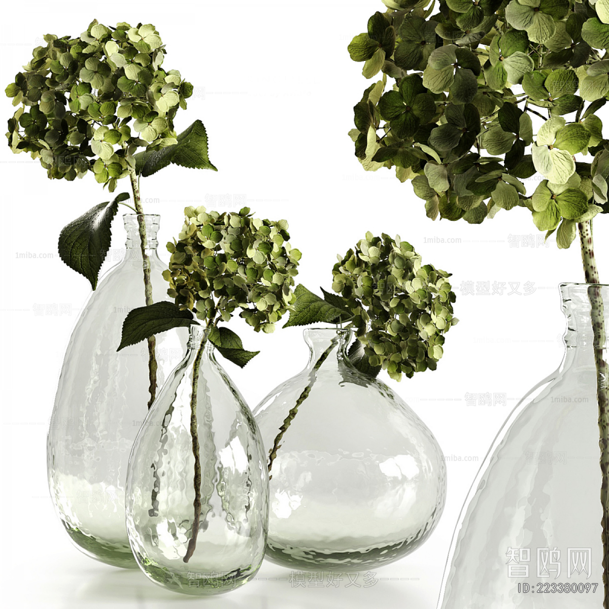 Modern Aquatic Green Plant