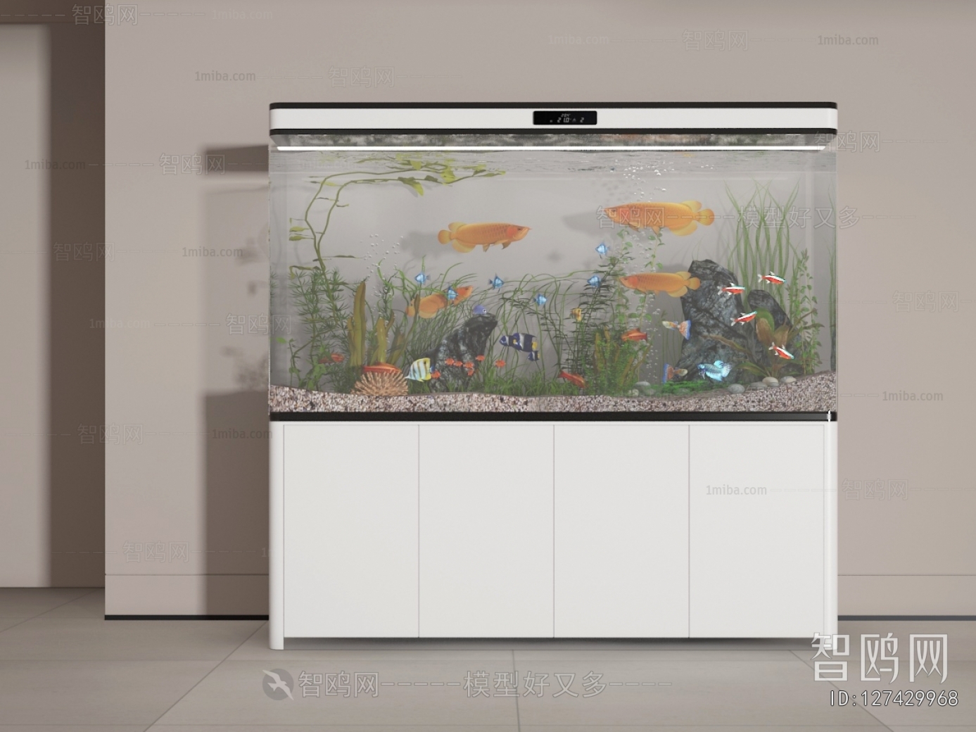 Modern Fish Tank