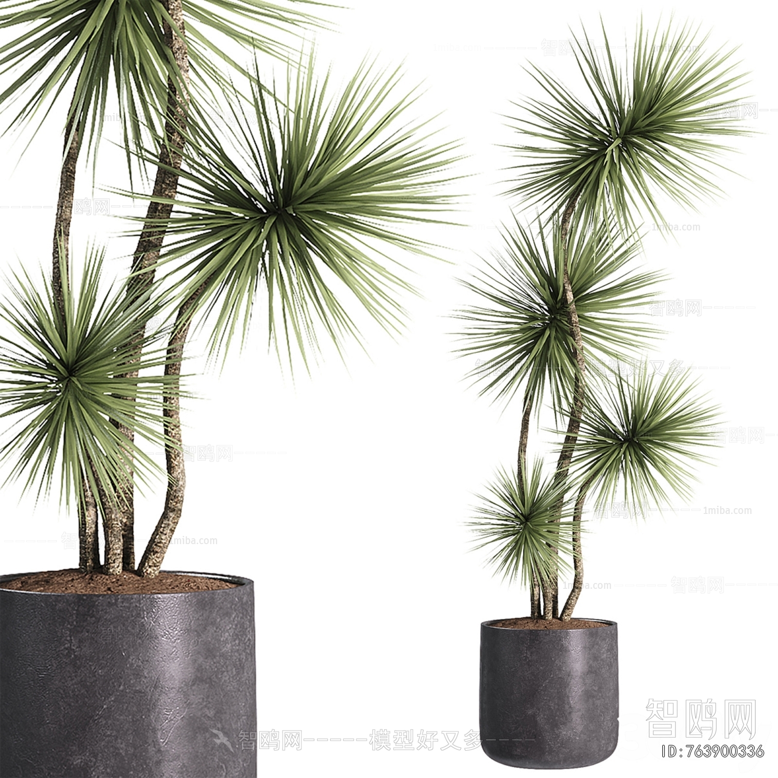 Modern Ground Green Plant Potted Plants
