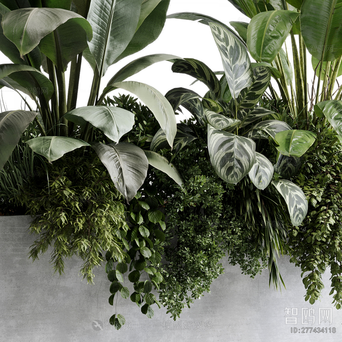 Modern Flower Bed, Flower Bowl, Flower Box