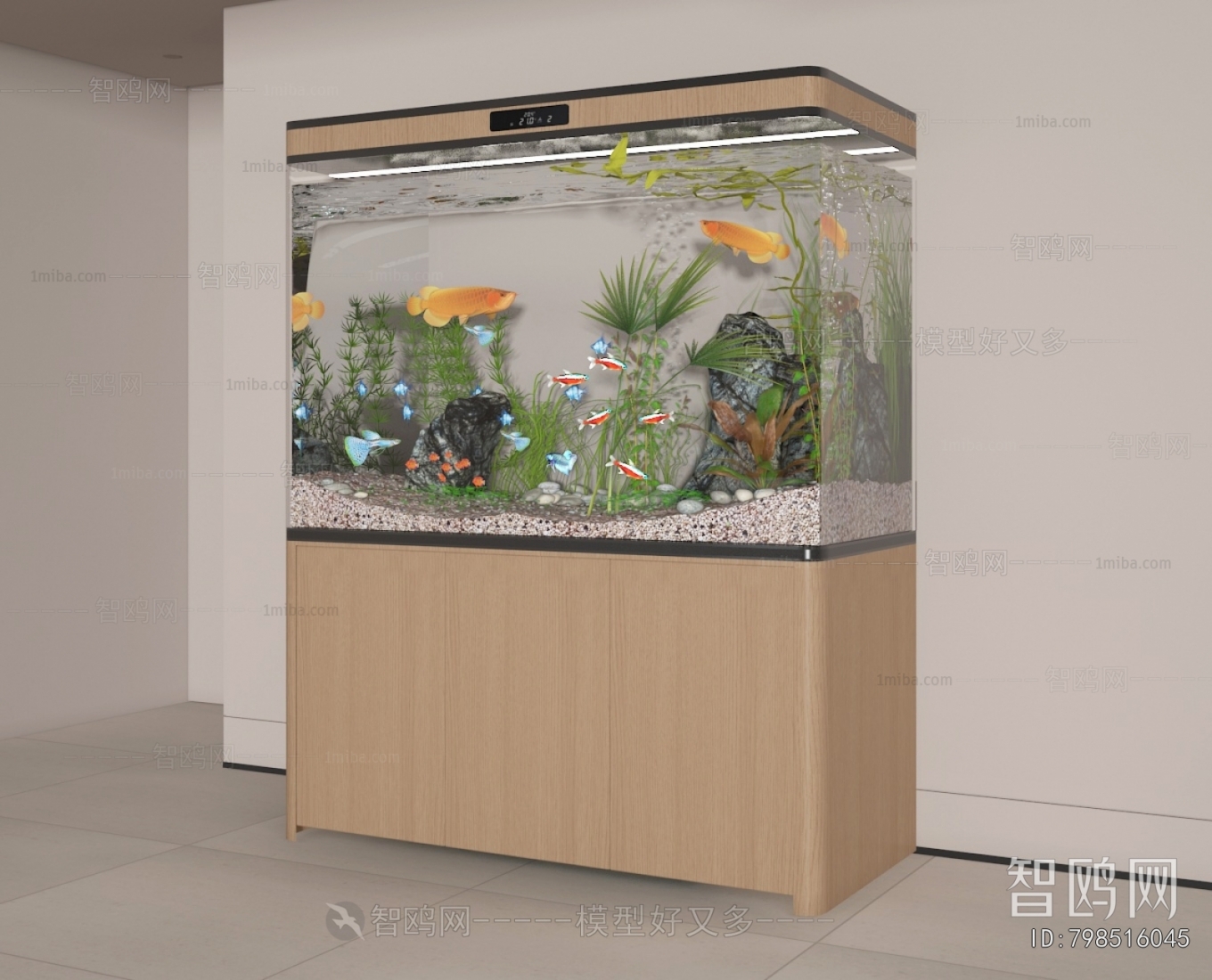 Modern Fish Tank