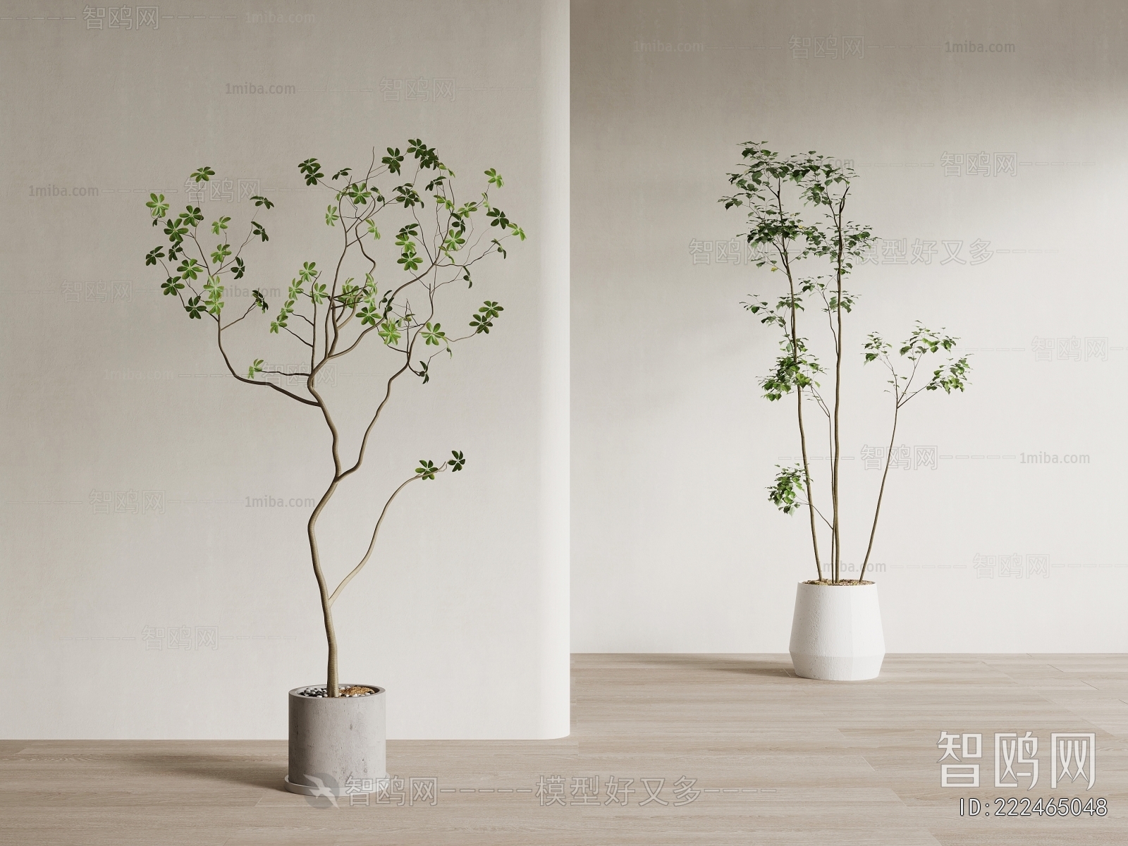 Modern Ground Green Plant Potted Plants