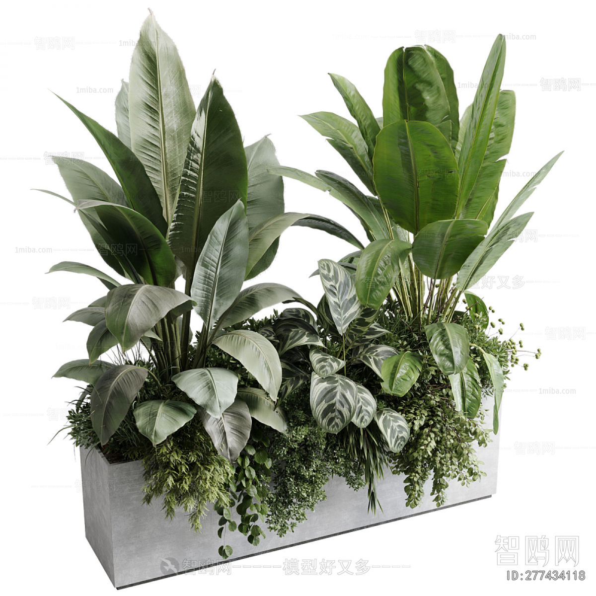 Modern Flower Bed, Flower Bowl, Flower Box