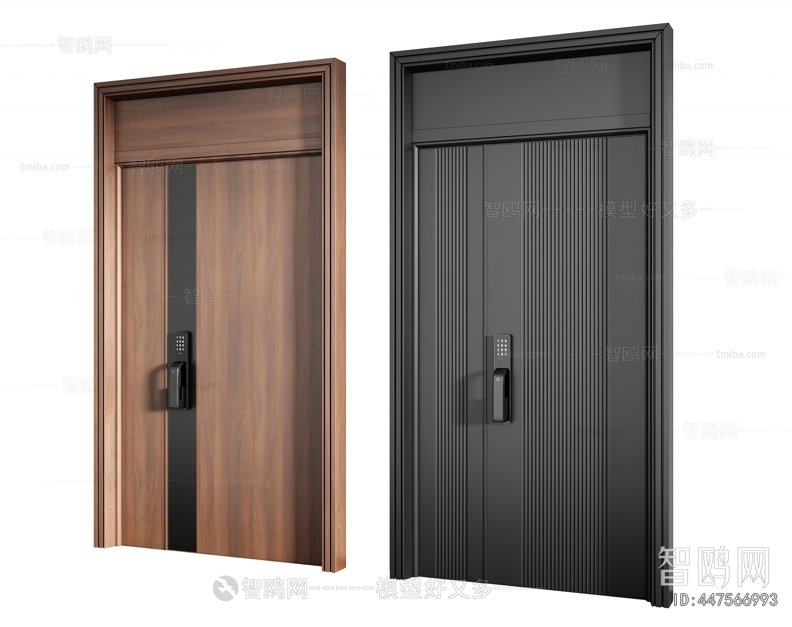 Modern Entrance Door