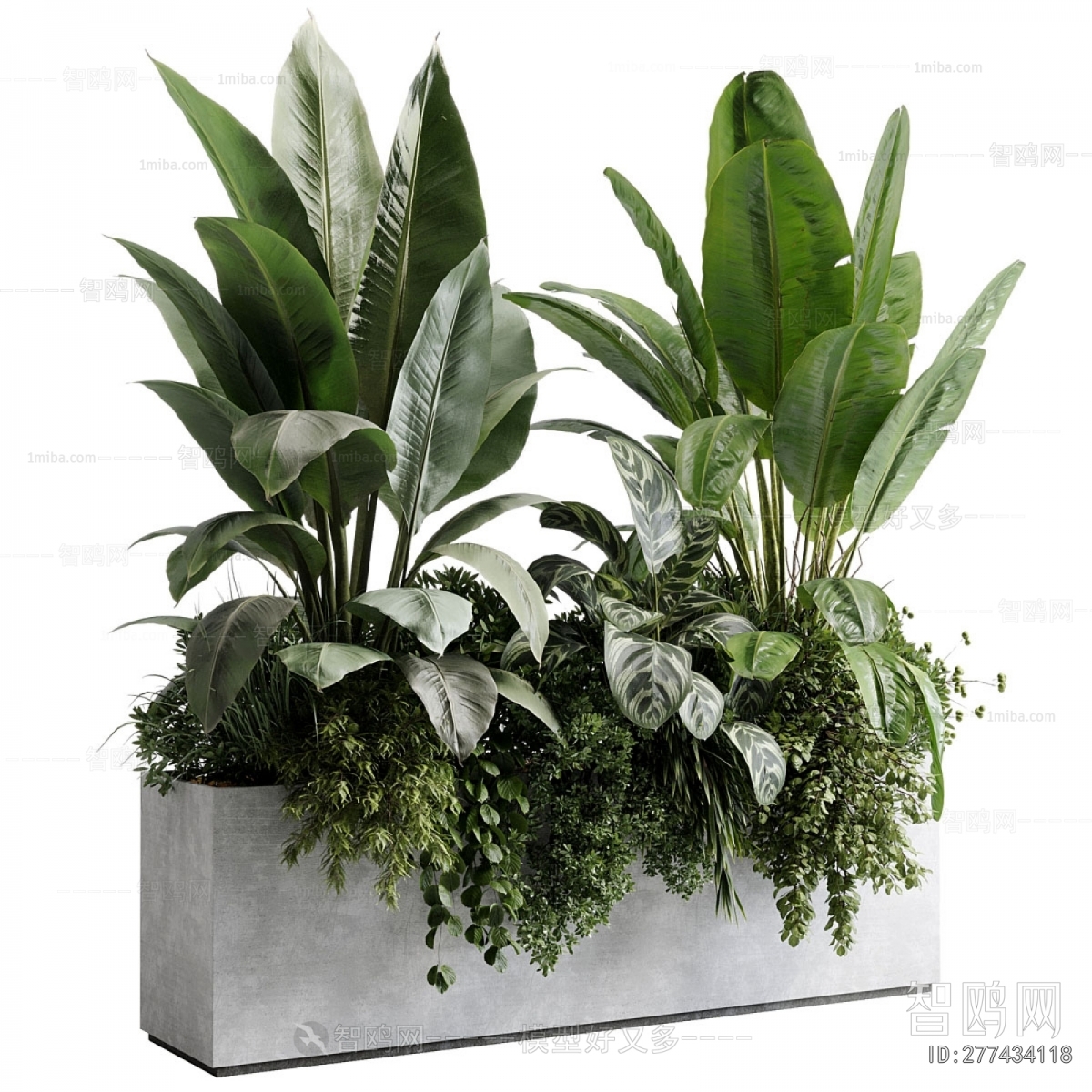 Modern Flower Bed, Flower Bowl, Flower Box