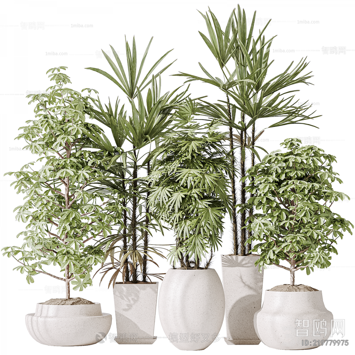 Modern Ground Green Plant Potted Plants