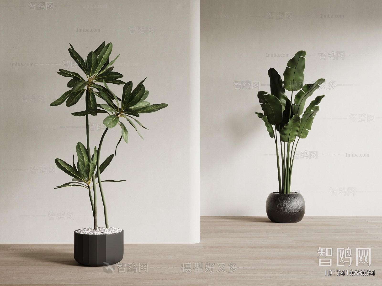 Modern Ground Green Plant Potted Plants