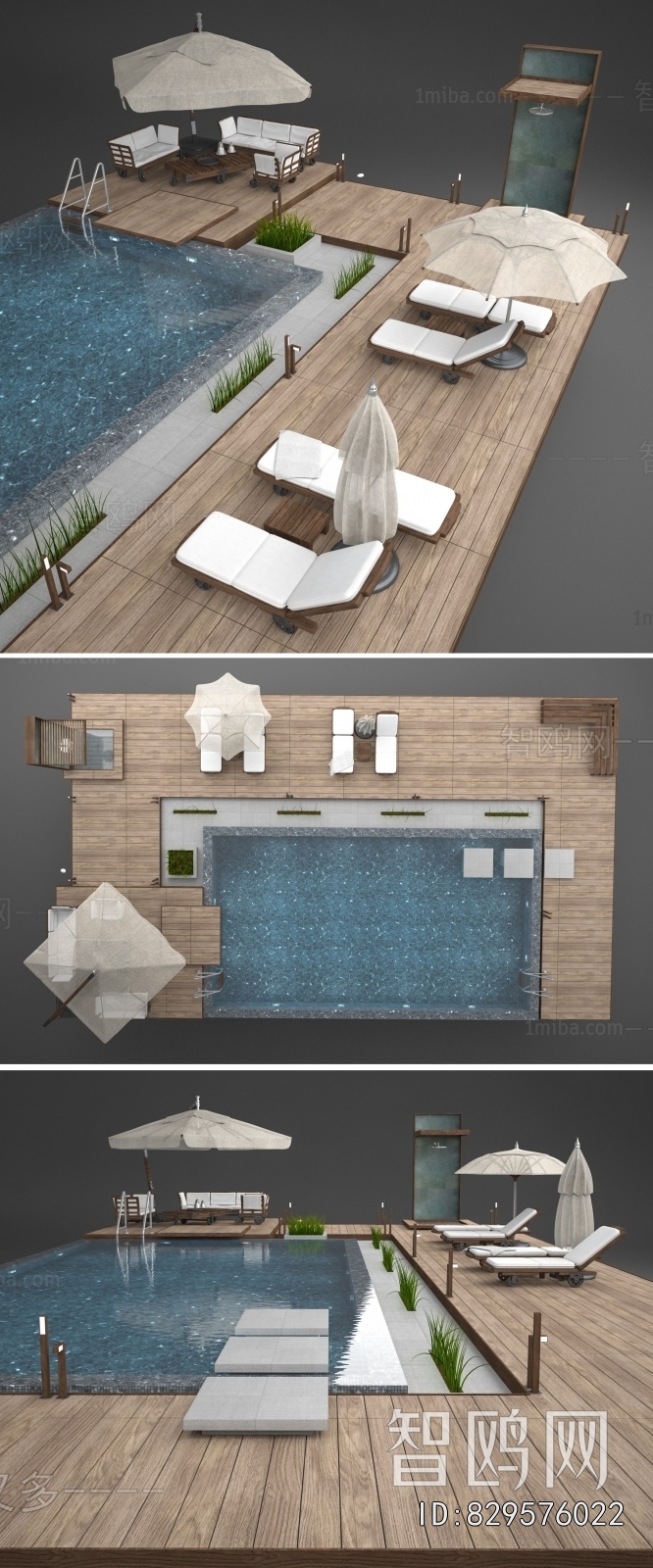 Modern Swimming Pool