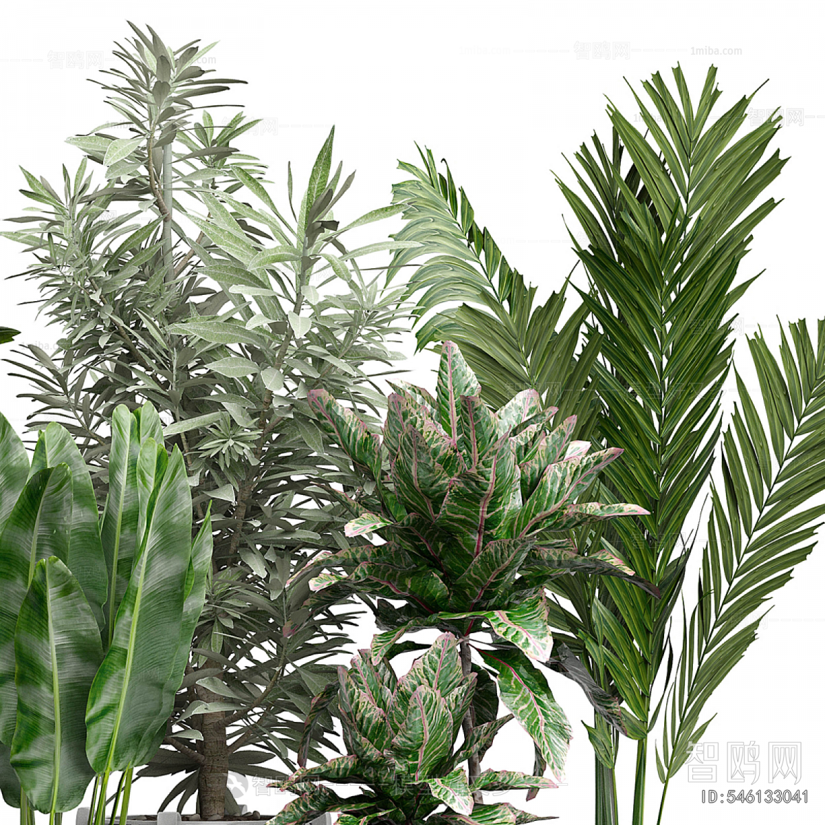 Modern Ground Green Plant Potted Plants