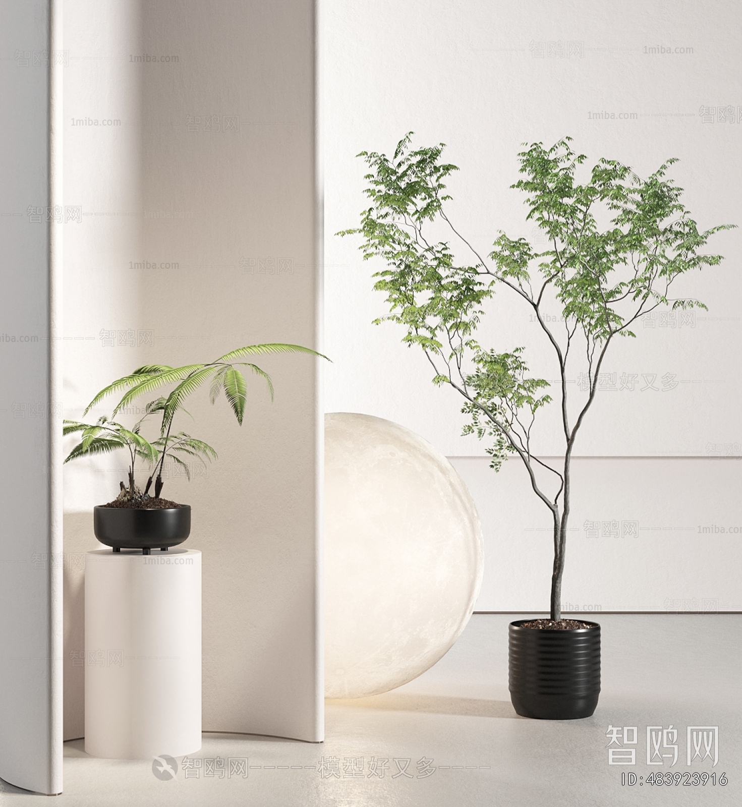 Modern Ground Green Plant Potted Plants