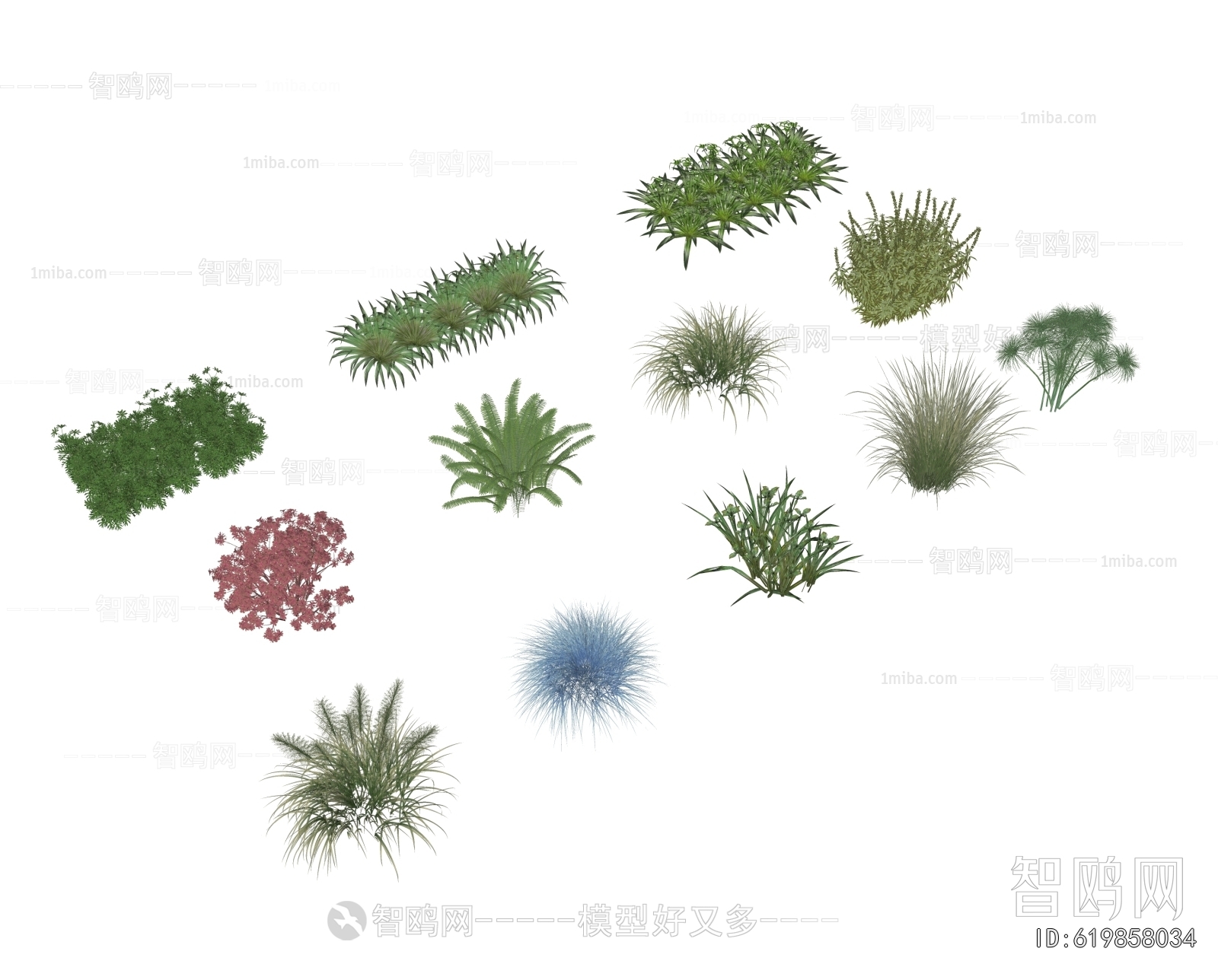 Modern Flowers And Grass