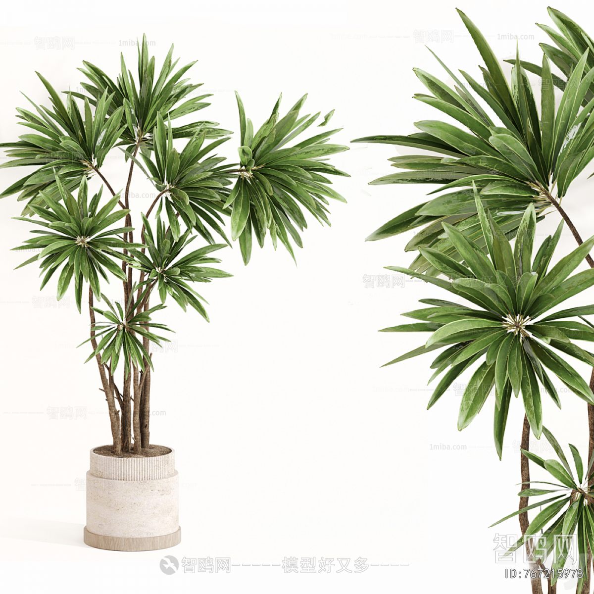 Modern Ground Green Plant Potted Plants