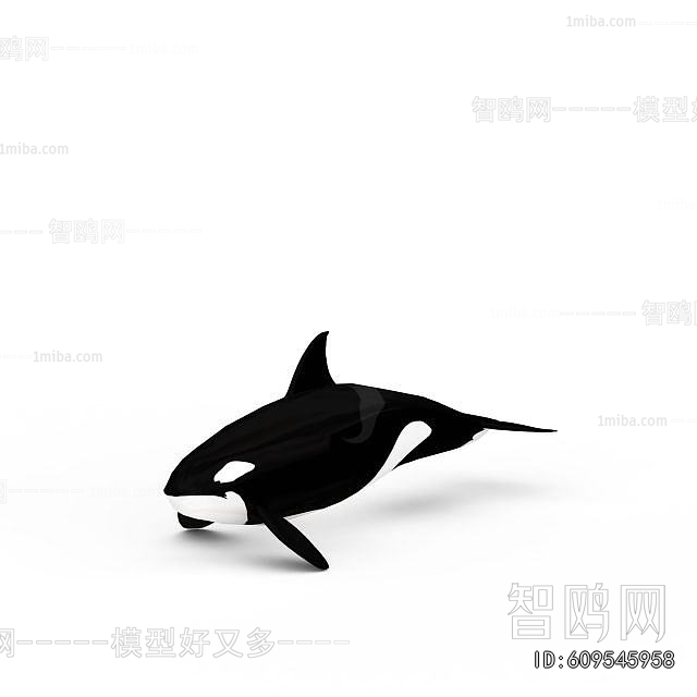 Modern Aquatic Animals