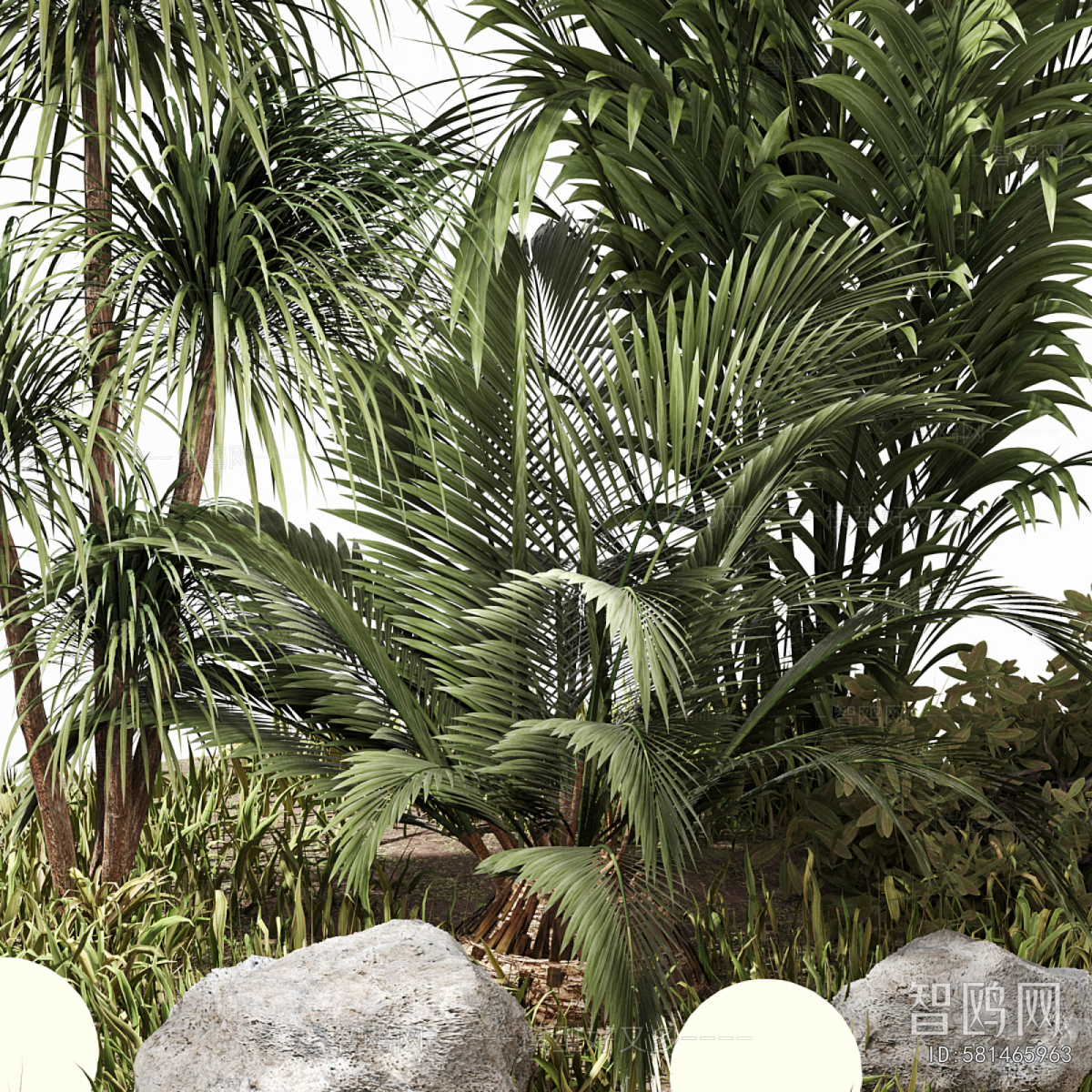 Modern Plant Landscaping