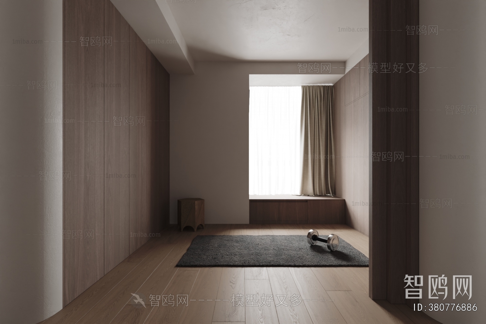 Modern Home Fitness Room