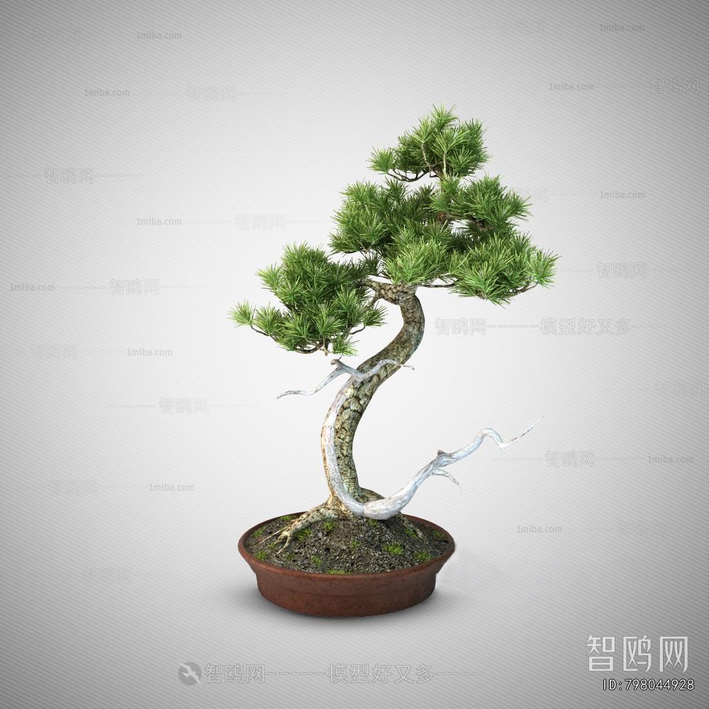 New Chinese Style Bonsai