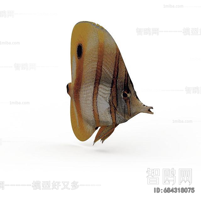 Modern Aquatic Animals