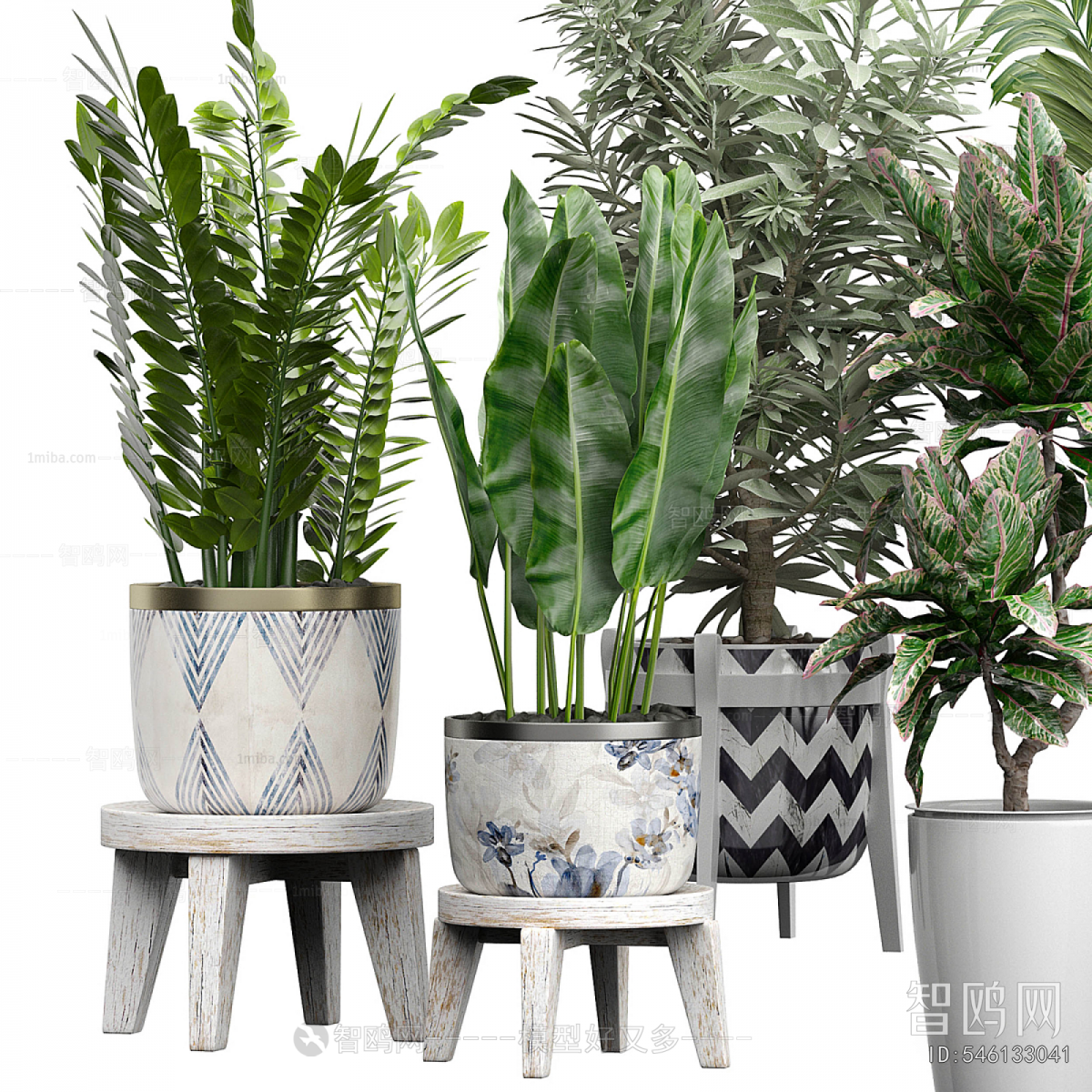 Modern Ground Green Plant Potted Plants