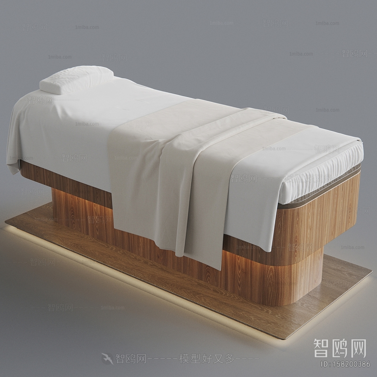 Modern Massage Table