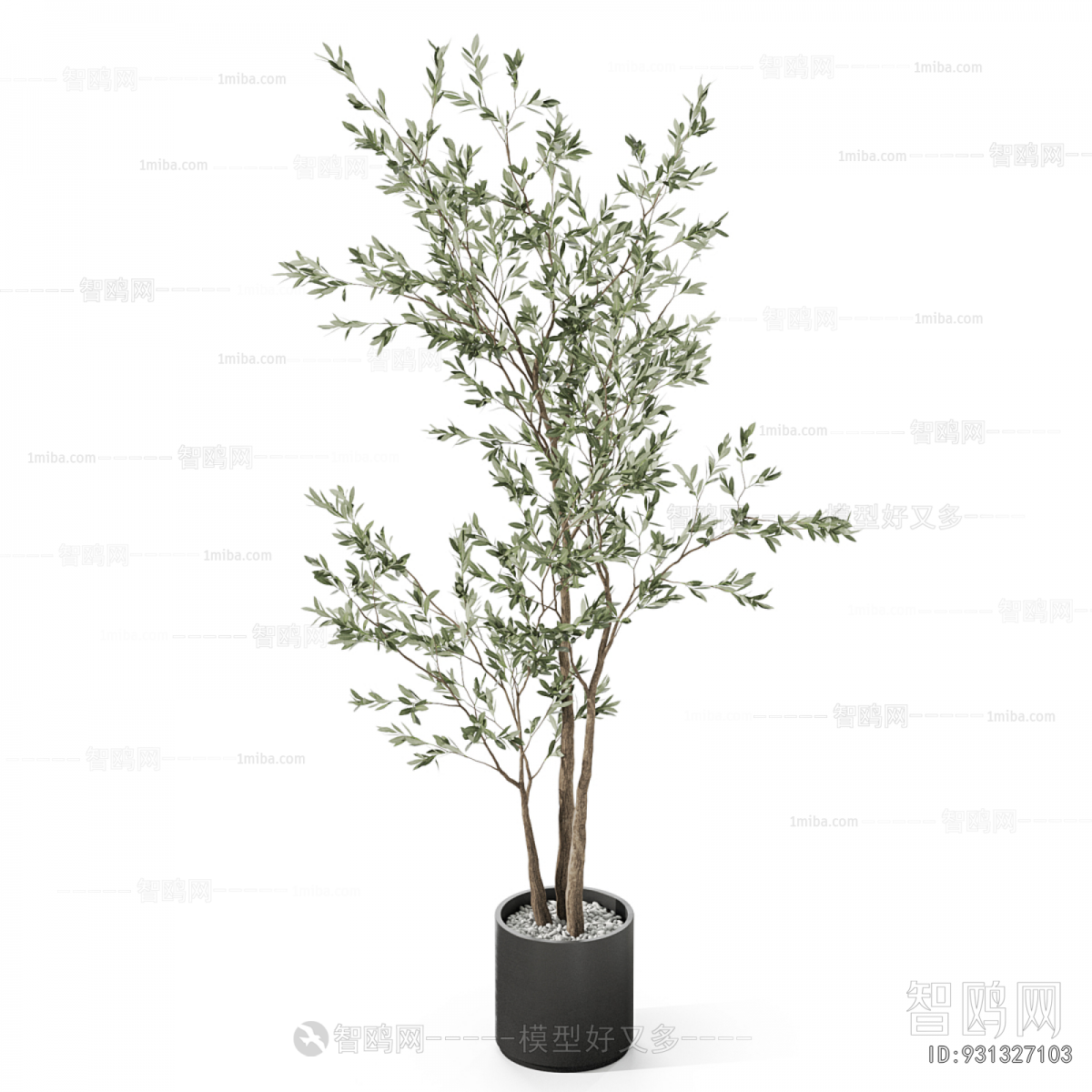 Modern Ground Green Plant Potted Plants