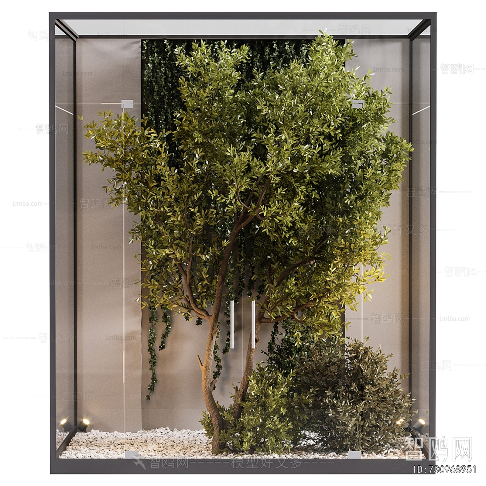 Modern Plant Landscaping