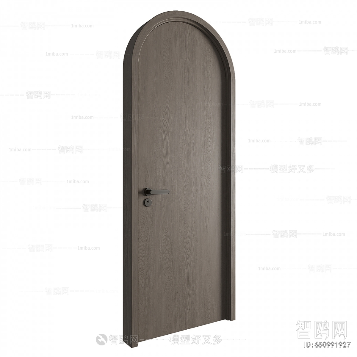 Modern Single Door