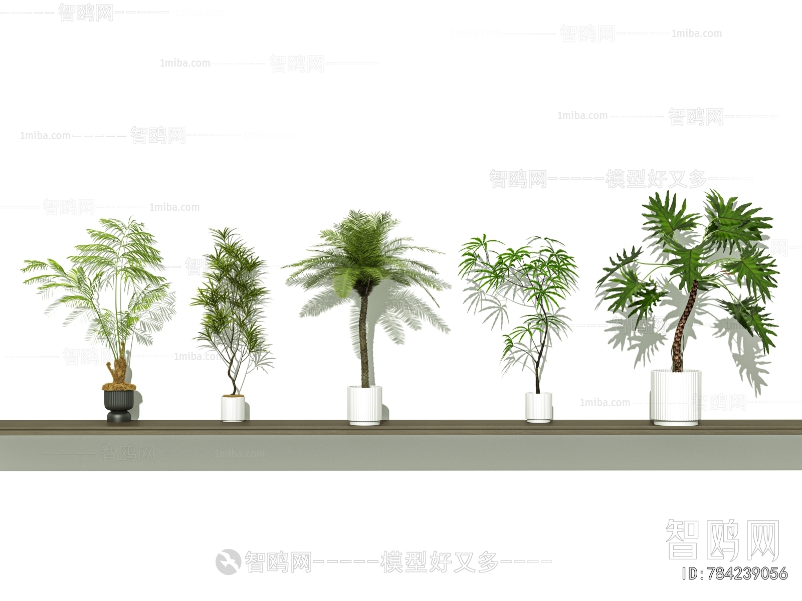 Modern Ground Green Plant Potted Plants