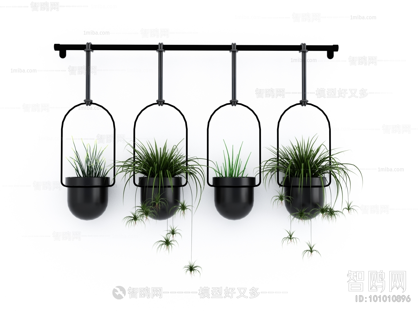 Modern Chlorophytum Comosum