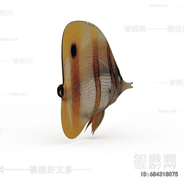 Modern Aquatic Animals