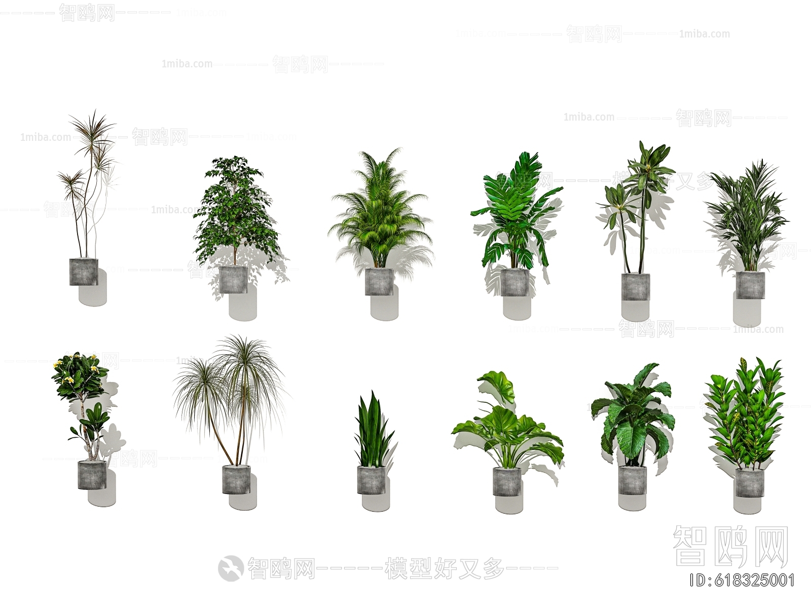 Modern Ground Green Plant Potted Plants