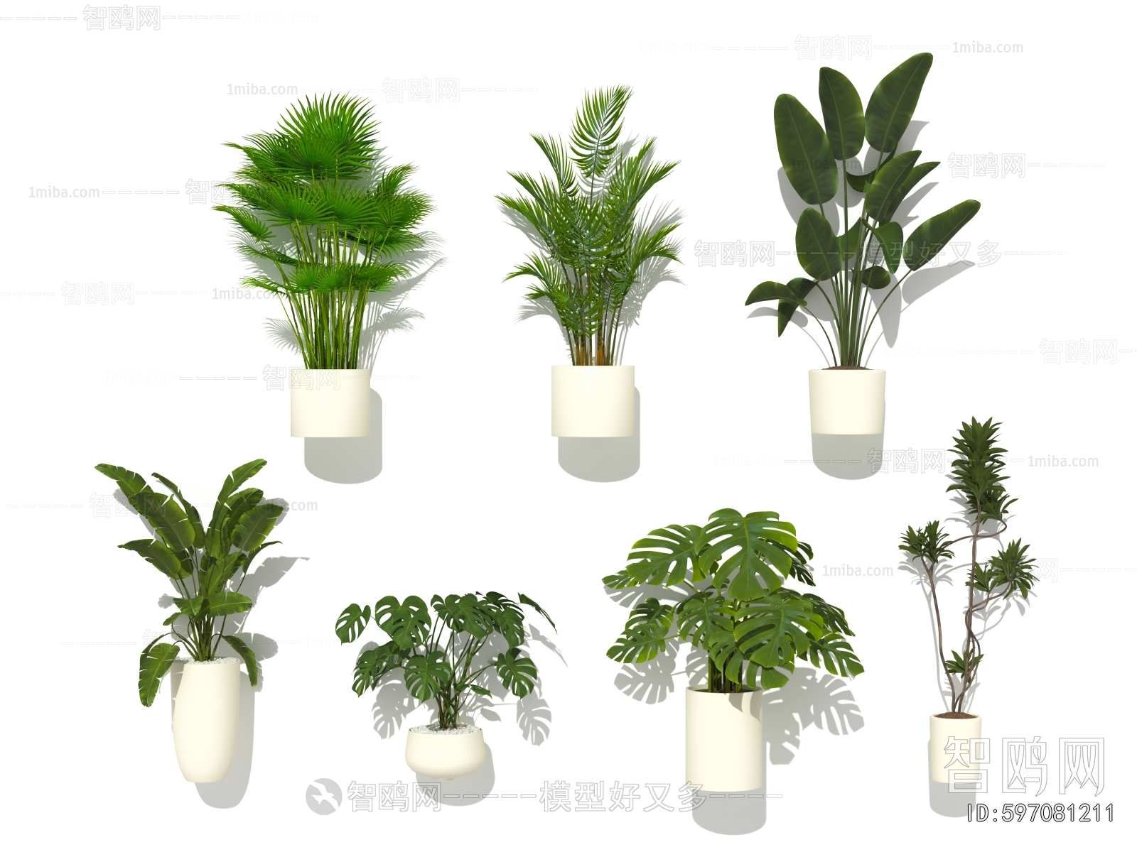 Modern Ground Green Plant Potted Plants