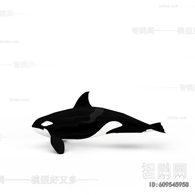 Modern Aquatic Animals