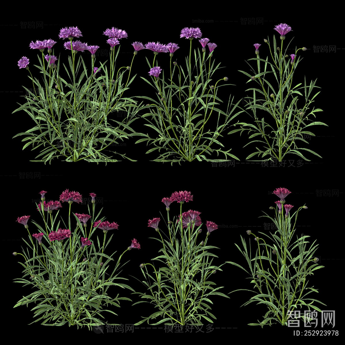 Modern Flowers And Grass