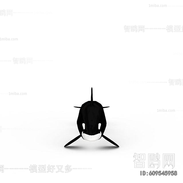 Modern Aquatic Animals