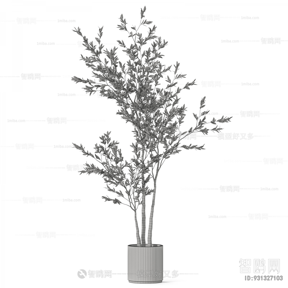 Modern Ground Green Plant Potted Plants