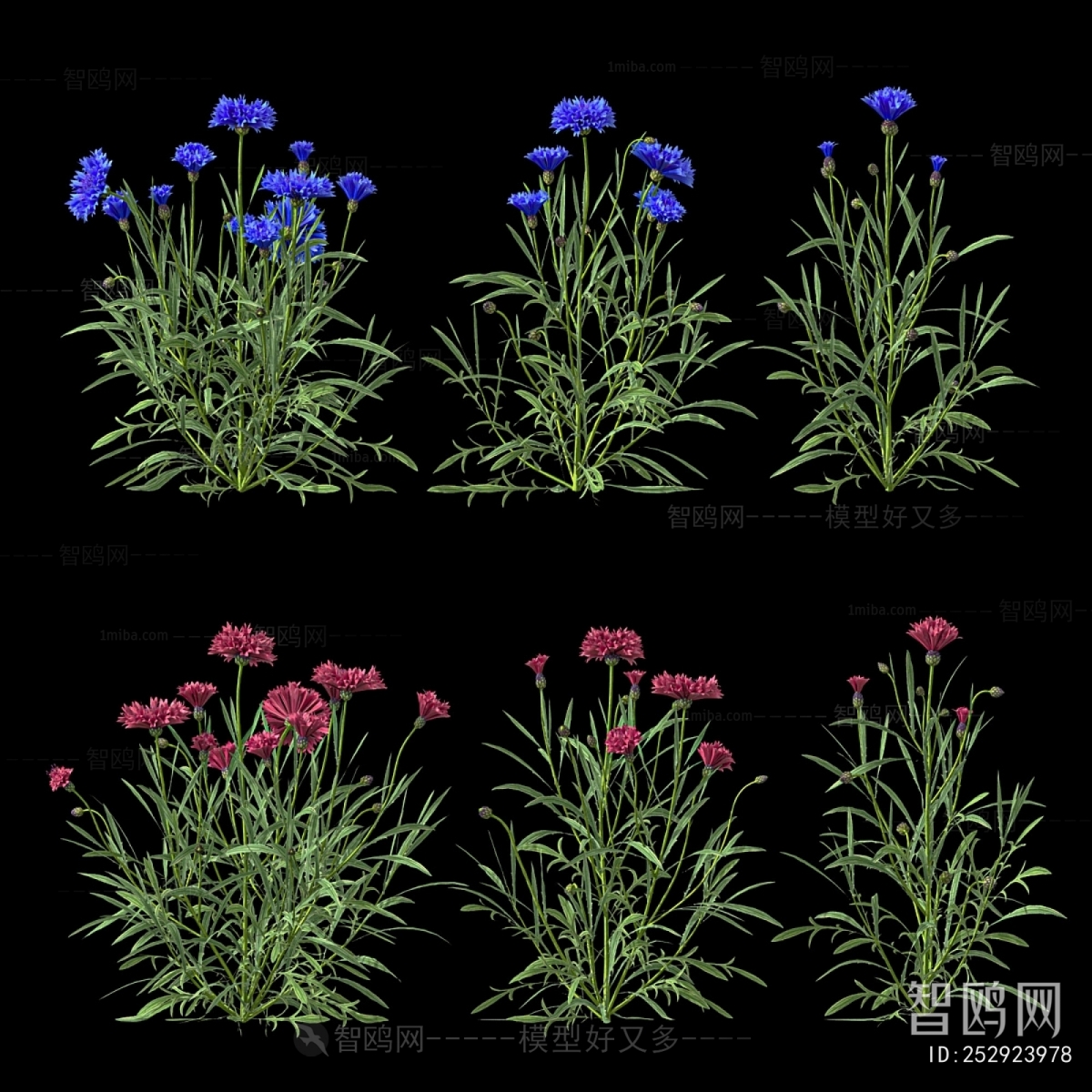 Modern Flowers And Grass