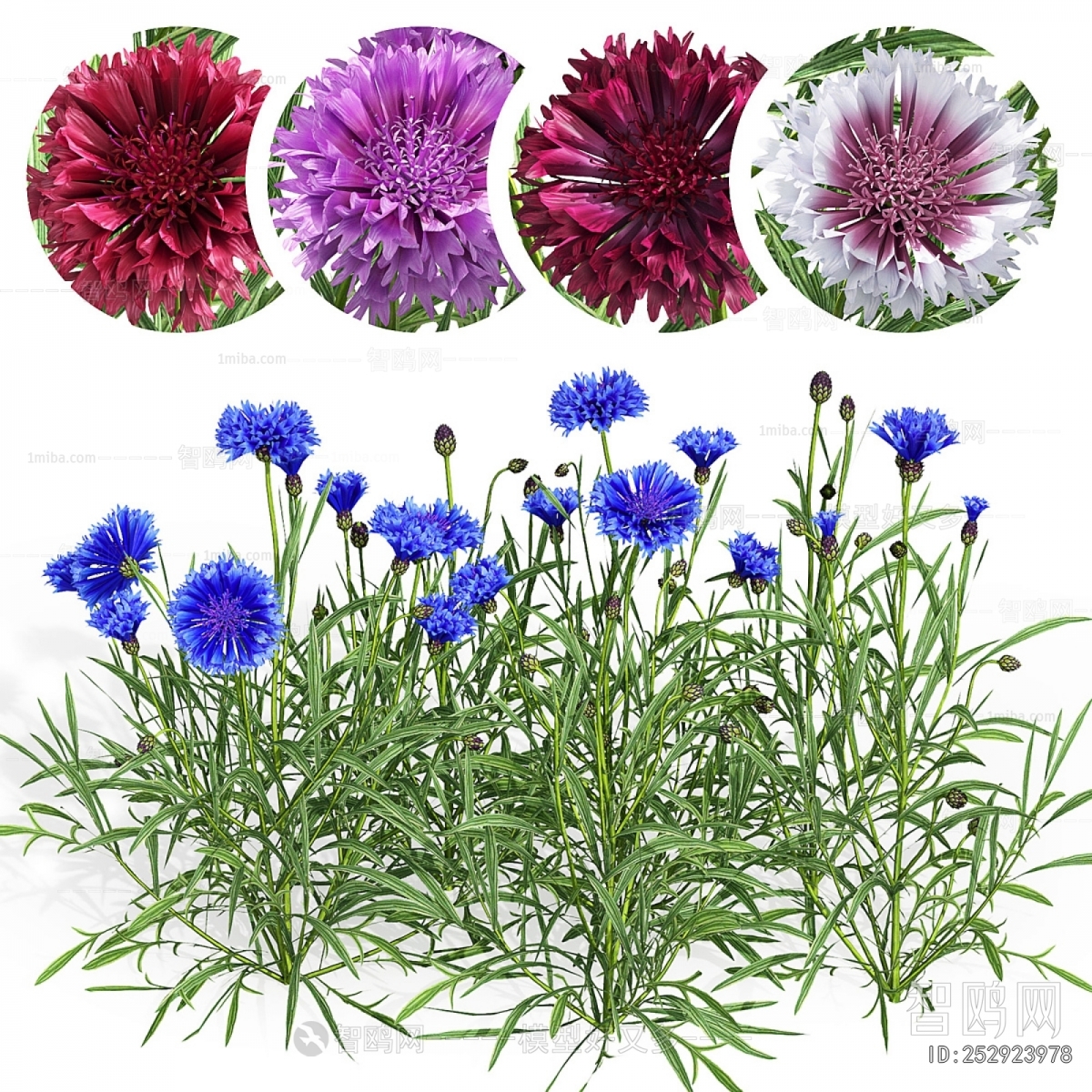 Modern Flowers And Grass