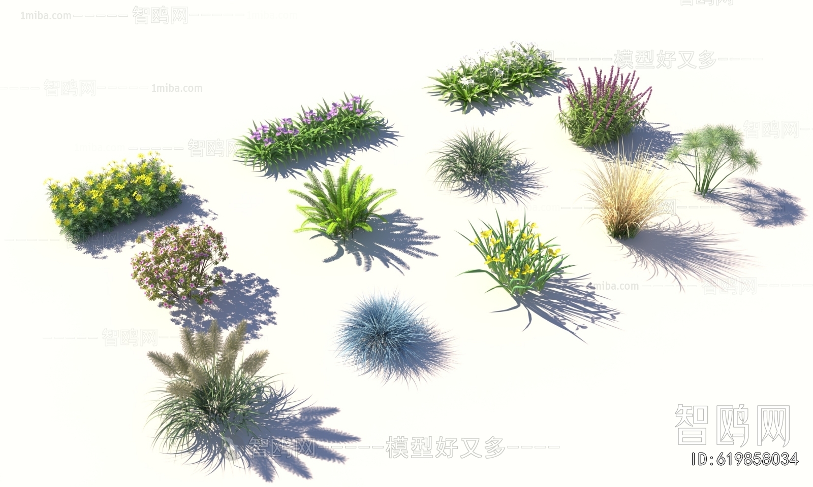 Modern Flowers And Grass