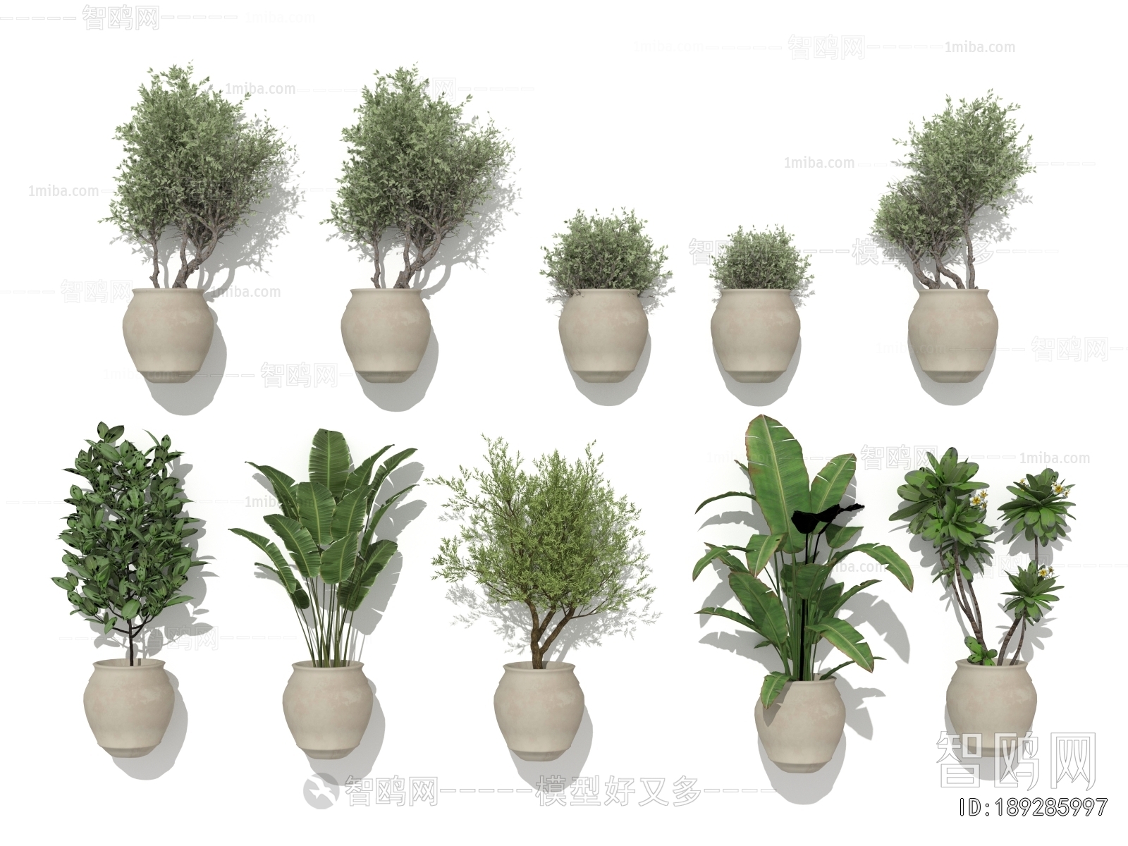 Modern Ground Green Plant Potted Plants