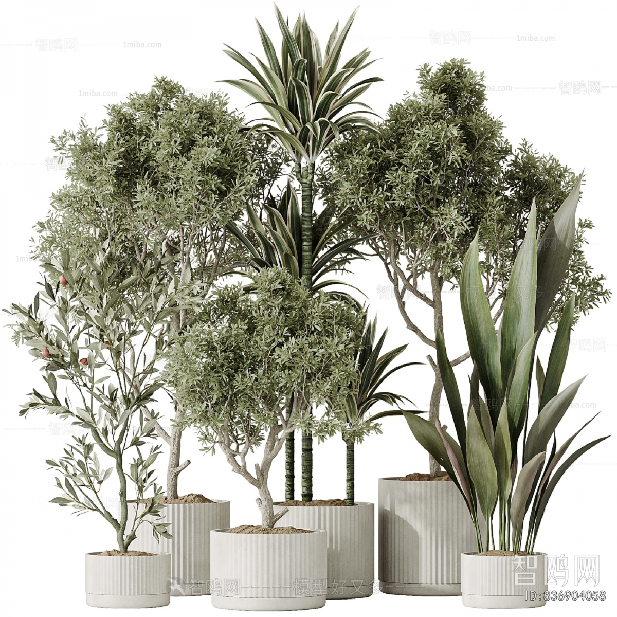 Modern Ground Green Plant Potted Plants