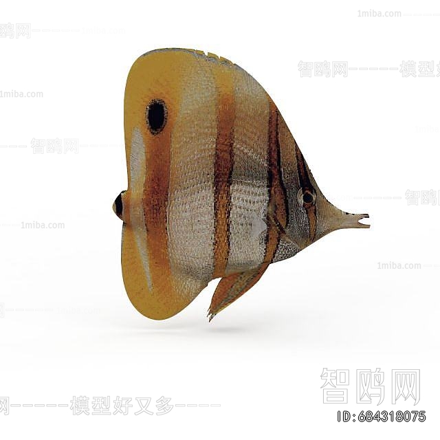 Modern Aquatic Animals