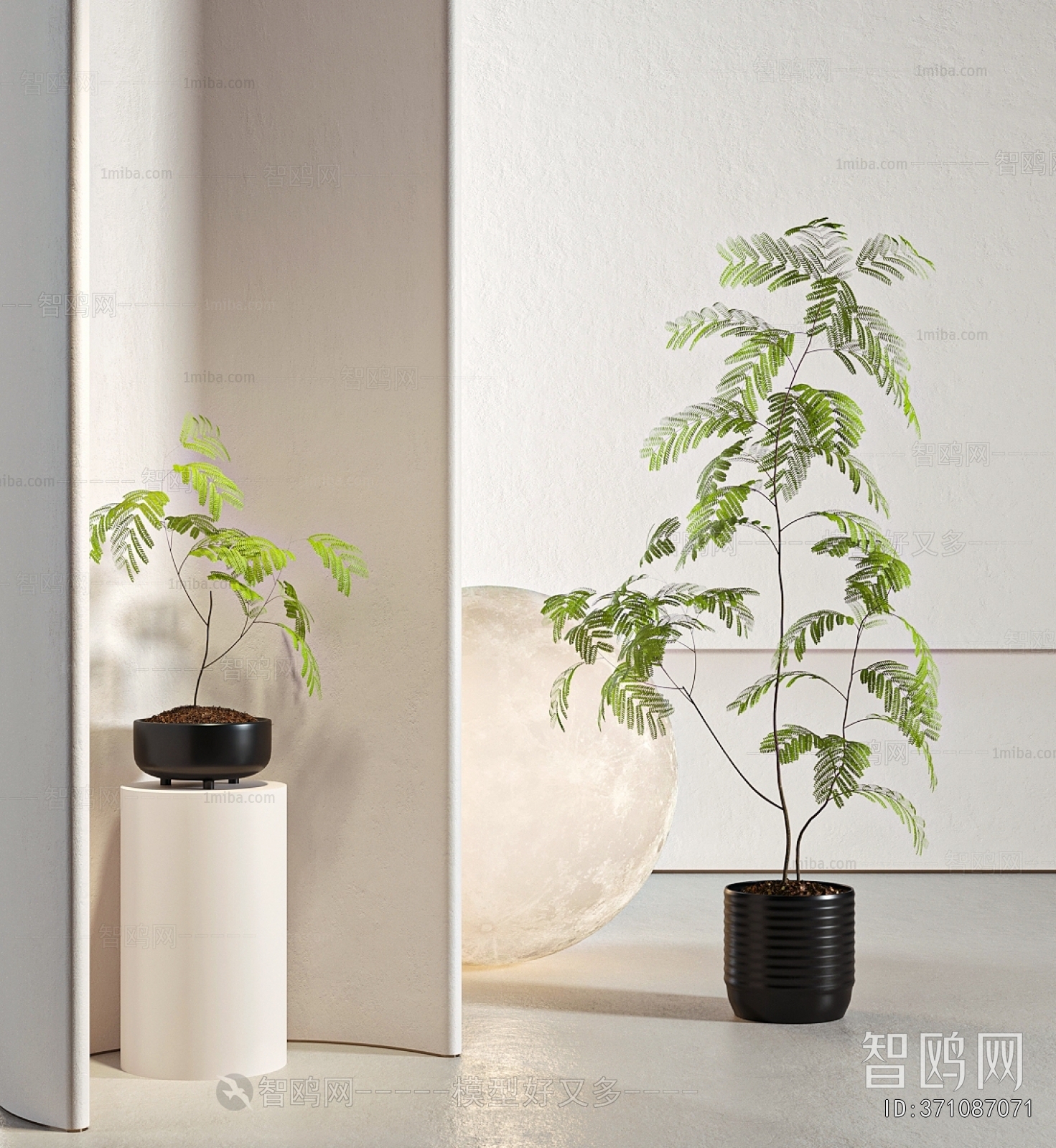 Modern Ground Green Plant Potted Plants