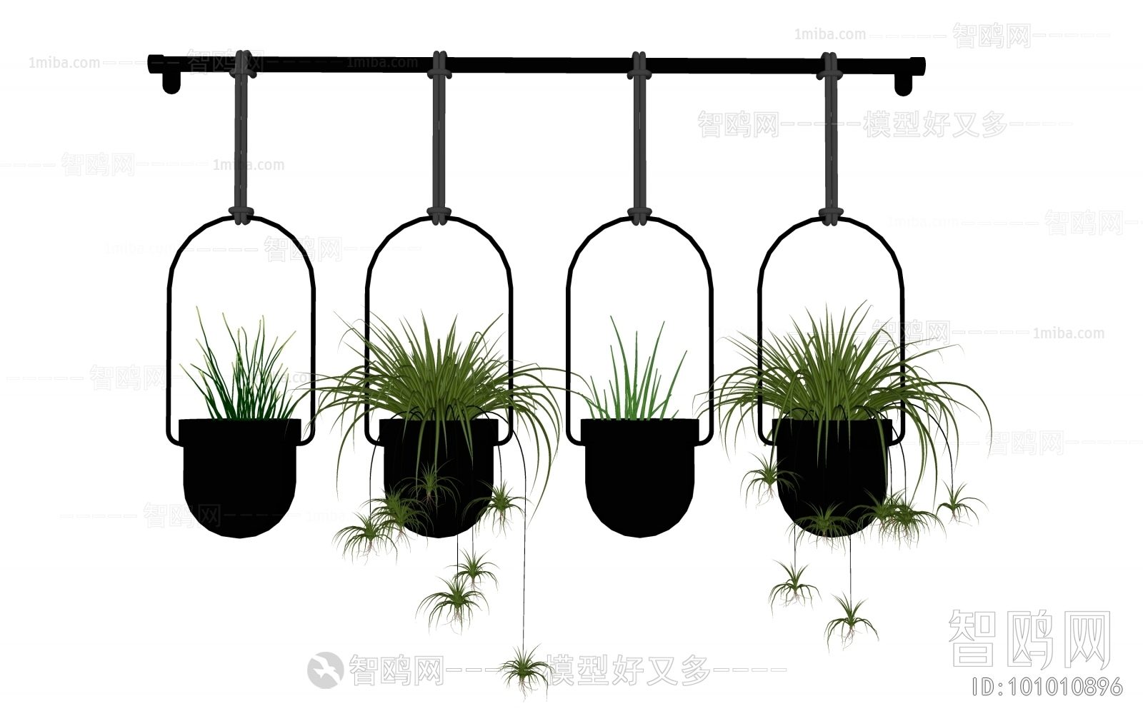 Modern Chlorophytum Comosum