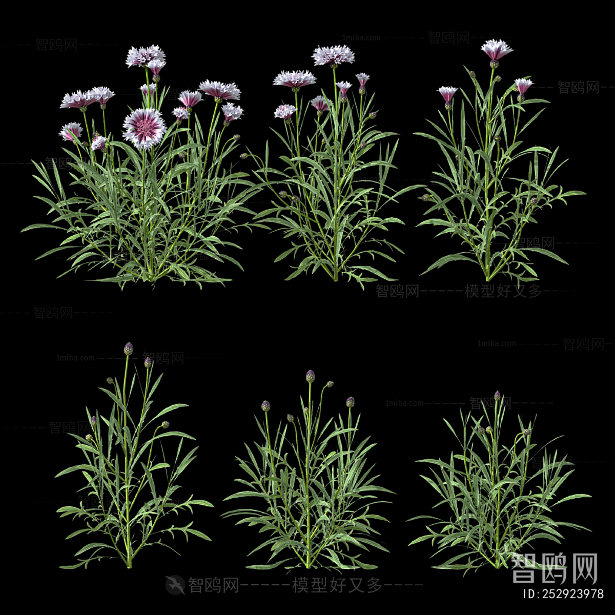 Modern Flowers And Grass