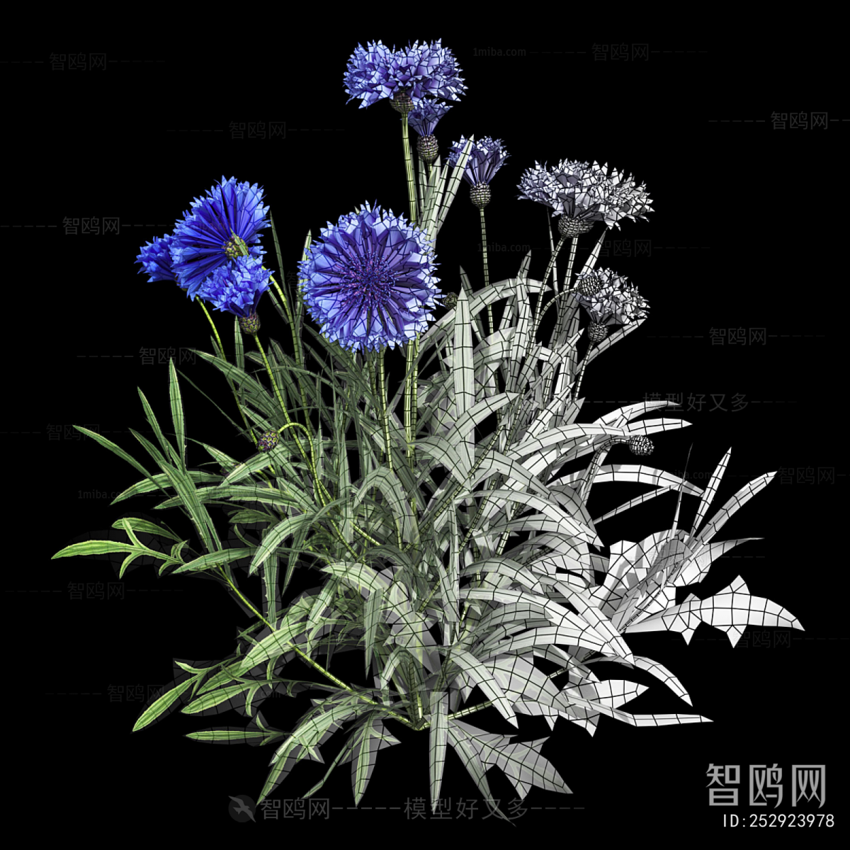 Modern Flowers And Grass