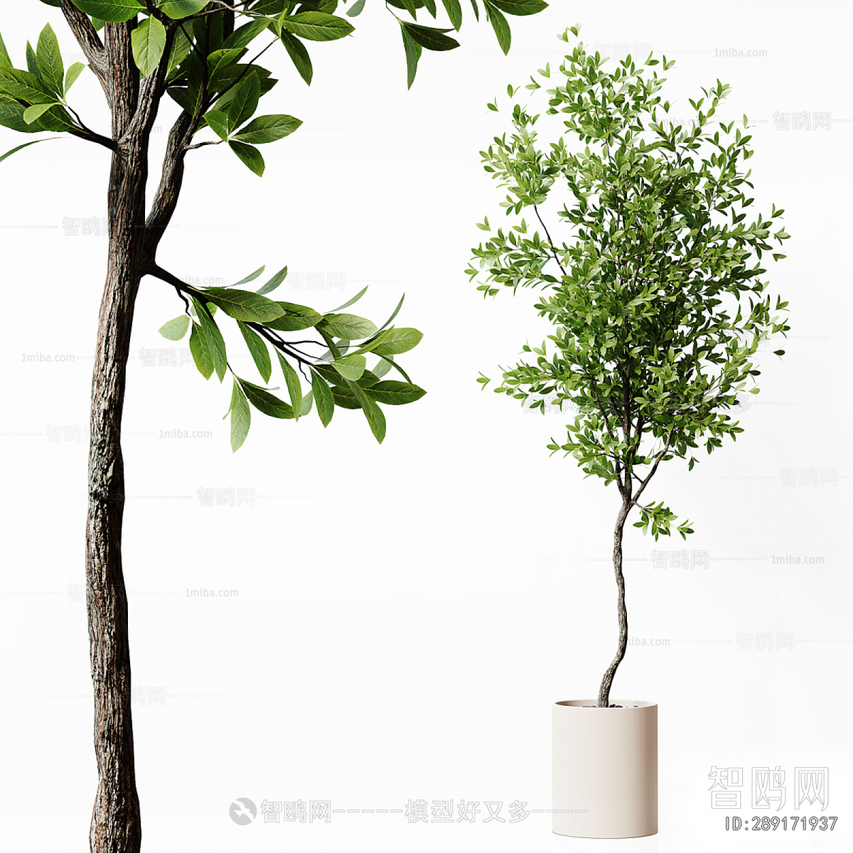 Modern Ground Green Plant Potted Plants
