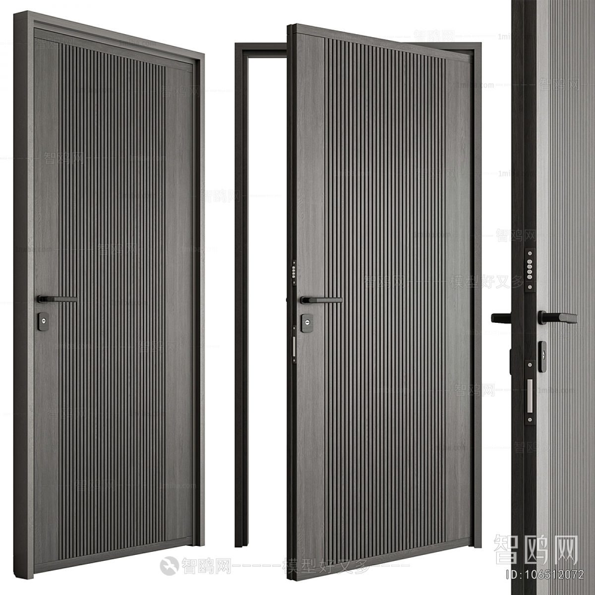 Modern Entrance Door